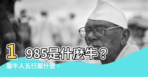 1985是什麼牛|1985年出生是什麼命？